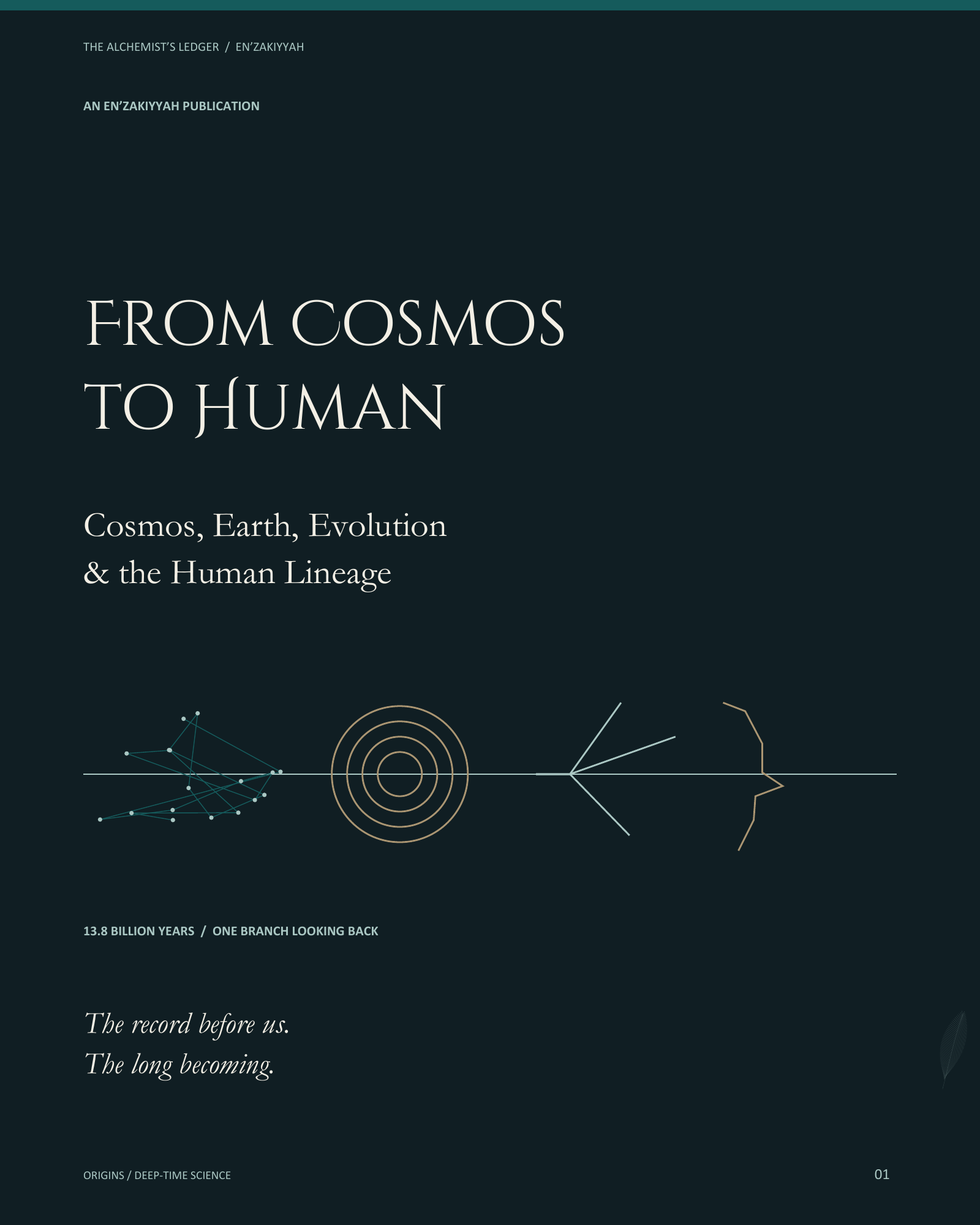 From Cosmos to Human